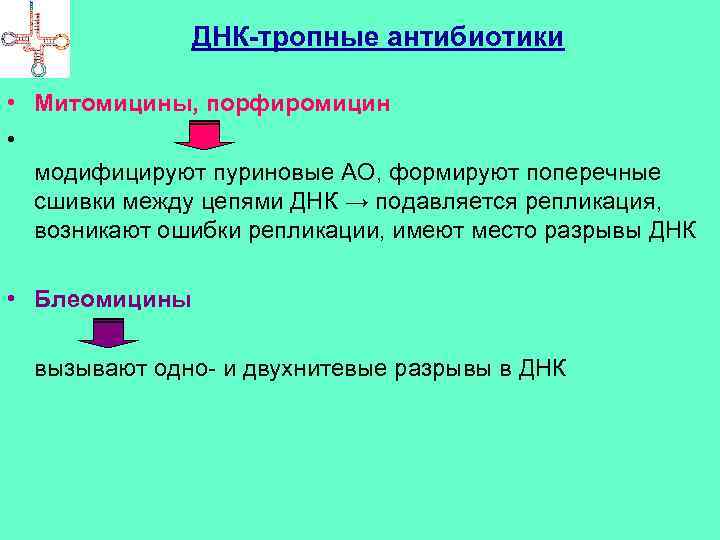 ДНК-тропные антибиотики • Митомицины, порфиромицин • модифицируют пуриновые АО, формируют поперечные сшивки между цепями