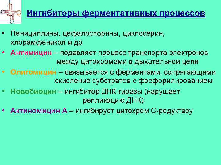 Ингибиторы ферментативных процессов • Пенициллины, цефалоспорины, циклосерин, хлорамфеникол и др. • Антимицин – подавляет