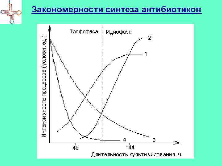 Закономерности синтеза антибиотиков 