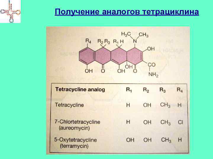 Получение аналогов тетрациклина 