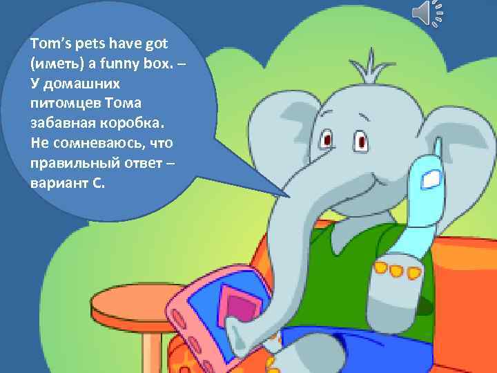 Tom’s pets have got (иметь) a funny box. – У домашних питомцев Тома забавная