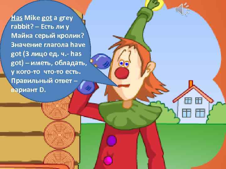 Has Mike got a grey rabbit? – Есть ли у Майка серый кролик? Значение