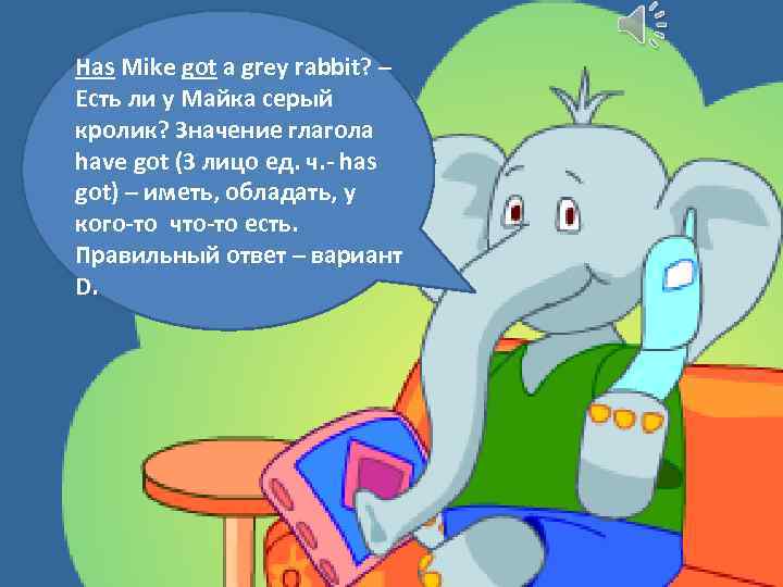 Has Mike got a grey rabbit? – Есть ли у Майка серый кролик? Значение