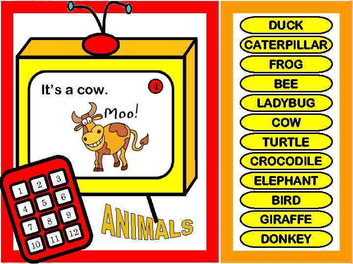 DUCK CATERPILLAR FROG It’s a cow. 4 BEE LADYBUG COW TURTLE CROCODILE 3 2