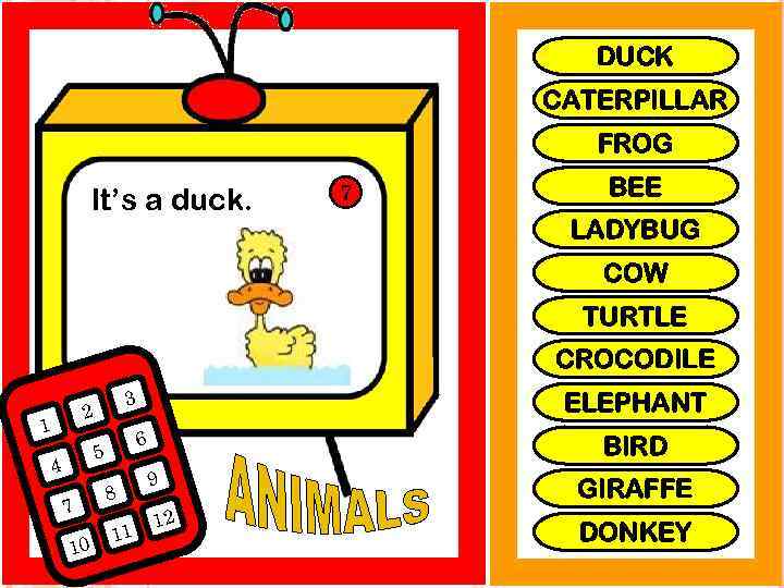 DUCK CATERPILLAR FROG It’s a duck. 7 BEE LADYBUG COW TURTLE CROCODILE 3 2