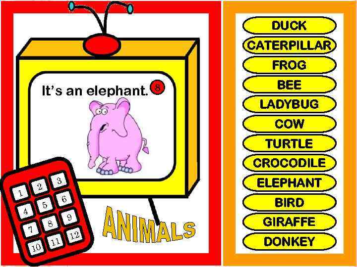 DUCK CATERPILLAR FROG It’s an elephant. 8 BEE LADYBUG COW TURTLE CROCODILE 3 2