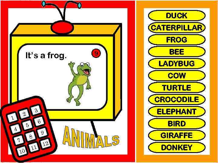 DUCK CATERPILLAR FROG It’s a frog. 9 BEE LADYBUG COW TURTLE CROCODILE 3 2