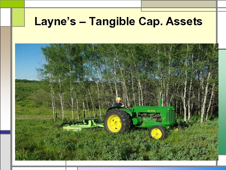 Layne’s – Tangible Cap. Assets 