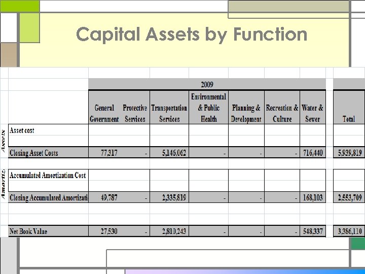 Capital Assets by Function 