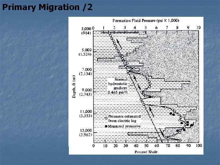 Primary Migration /2 