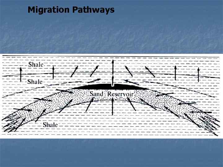 Migration Pathways 