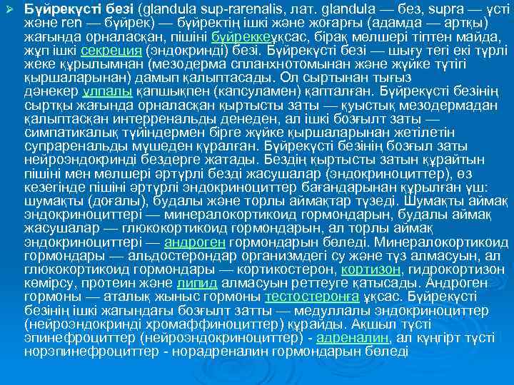 Ø Бүйрекүсті безі (glandula sup-rarenalis, лат. glandula — без, supra — үсті және ren