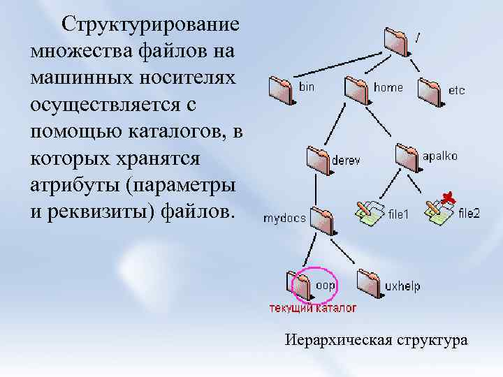 Файловая система fat презентация