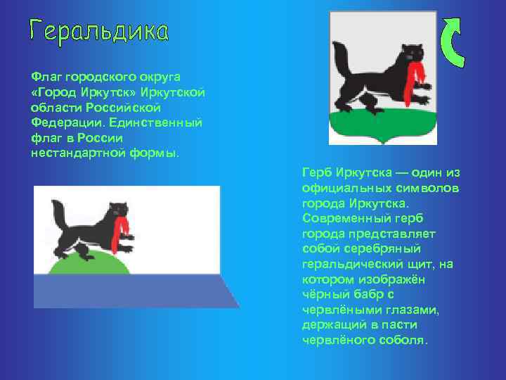 Флаг городского округа «Город Иркутск» Иркутской области Российской Федерации. Единственный флаг в России нестандартной