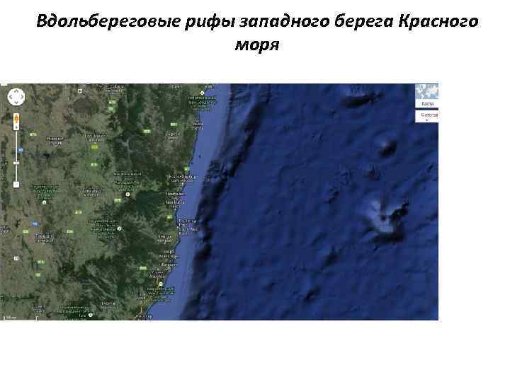 Вдольбереговые рифы западного берега Красного моря 