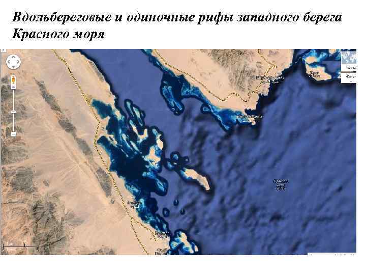 Вдольбереговые и одиночные рифы западного берега Красного моря 