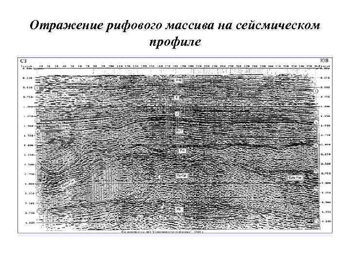 Отражение рифового массива на сейсмическом профиле 