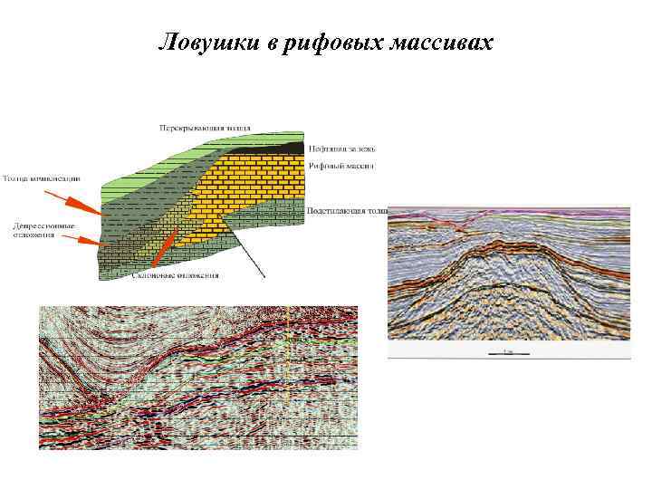 Ловушки в рифовых массивах 