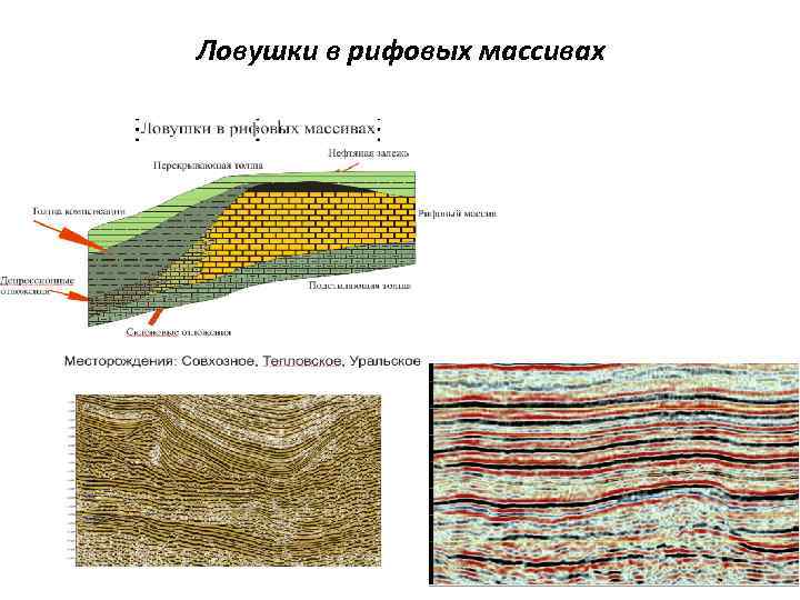 Ловушки в рифовых массивах 