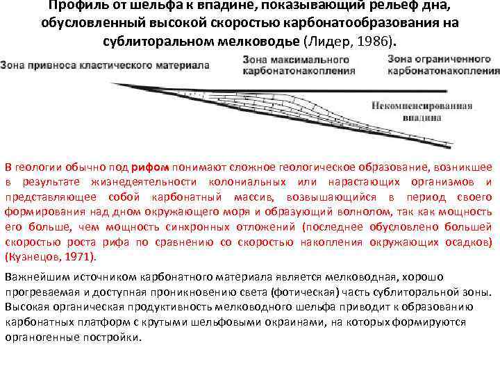 Профиль от шельфа к впадине, показывающий рельеф дна, обусловленный высокой скоростью карбонатообразования на сублиторальном