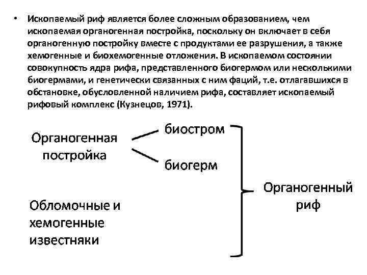  • Ископаемый риф является более сложным образованием, чем ископаемая органогенная постройка, поскольку он