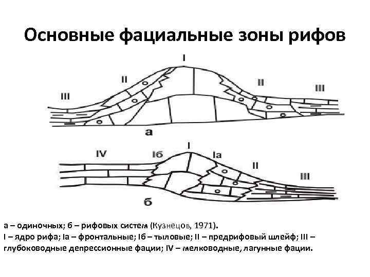 Основные фациальные зоны рифов а – одиночных; б – рифовых систем (Кузнецов, 1971). I