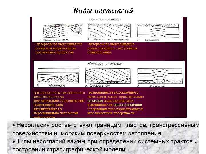 Виды несогласий 