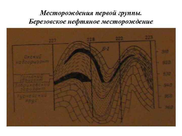 Месторождения первой группы. Березовское нефтяное месторождение 