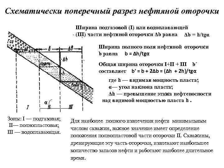 Схематически поперечный разрез нефтяной оторочки Ширина подгазовой (I) или водоплавающей (III) части нефтяной оторочки