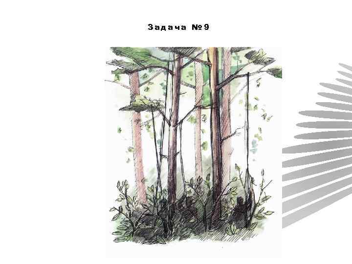 Задача № 9 
