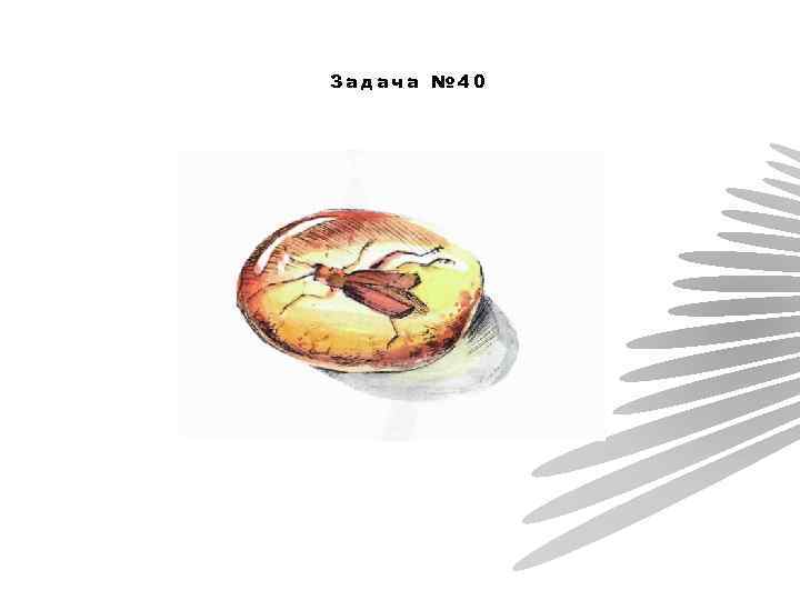 Задача № 40 