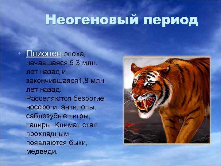 Неогеновый период • Плиоцен-эпоха, начавшаяся 5, 3 млн. лет назад и закончившаяся 1, 8