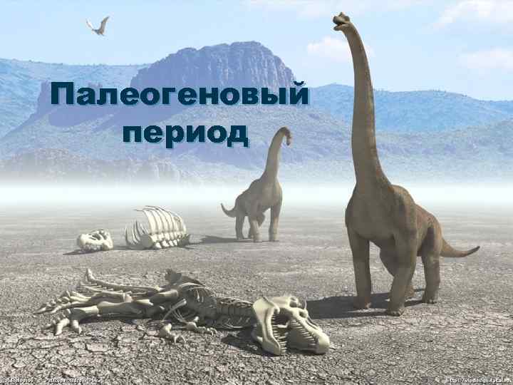 Палеогеновый период 