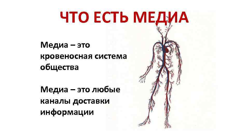 ЧТО ЕСТЬ МЕДИА Медиа – это кровеносная система общества Медиа – это любые каналы