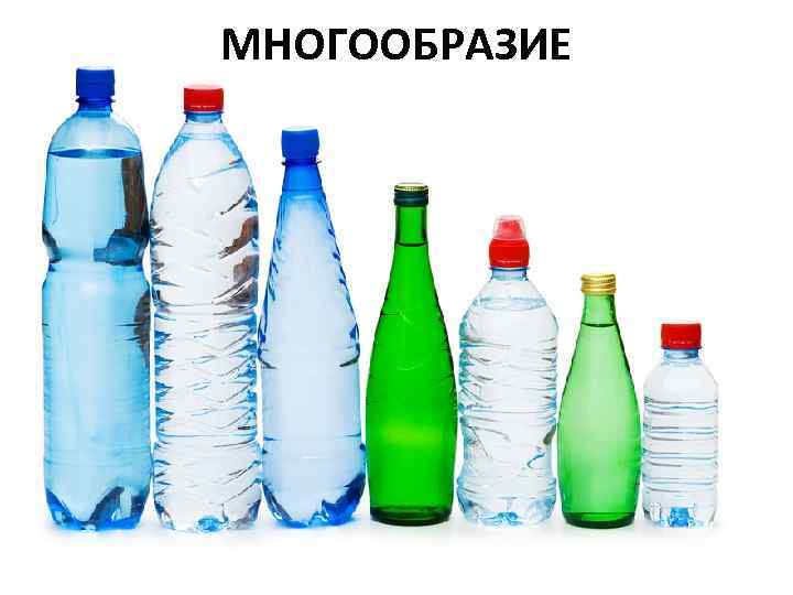 МНОГООБРАЗИЕ 