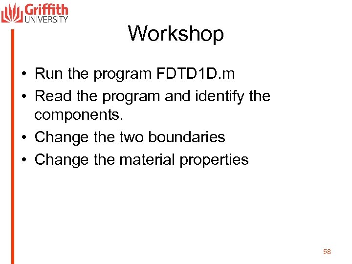 Workshop • Run the program FDTD 1 D. m • Read the program and