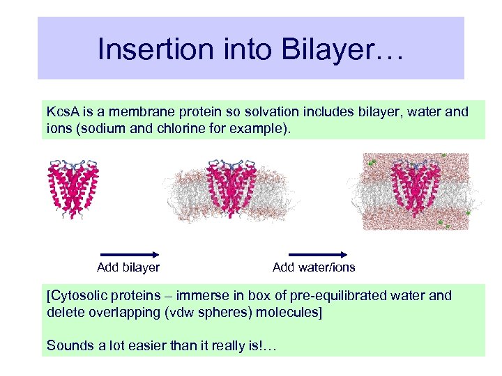 Insertion into Bilayer… Kcs. A is a membrane protein so solvation includes bilayer, water