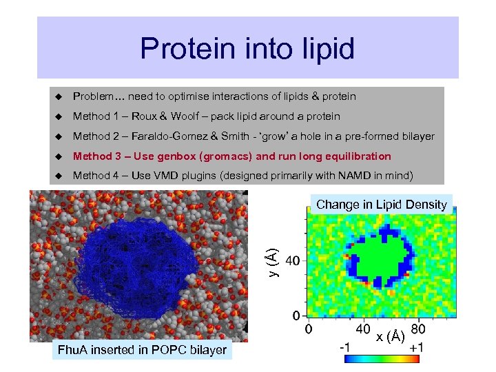 Protein into lipid u Problem… need to optimise interactions of lipids & protein u