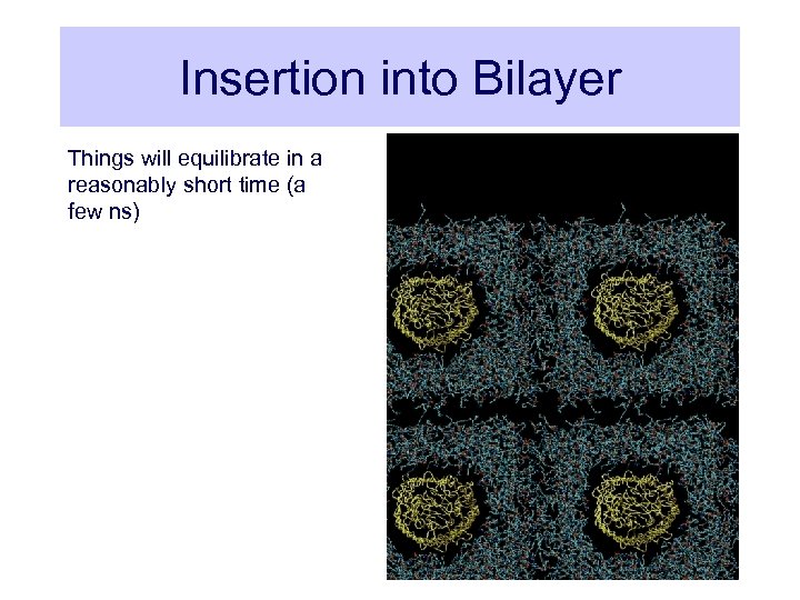 Insertion into Bilayer Things will equilibrate in a reasonably short time (a few ns)
