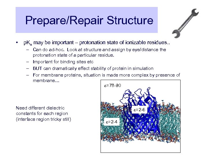 Prepare/Repair Structure • p. Ka may be important – protonation state of ionizable residues.