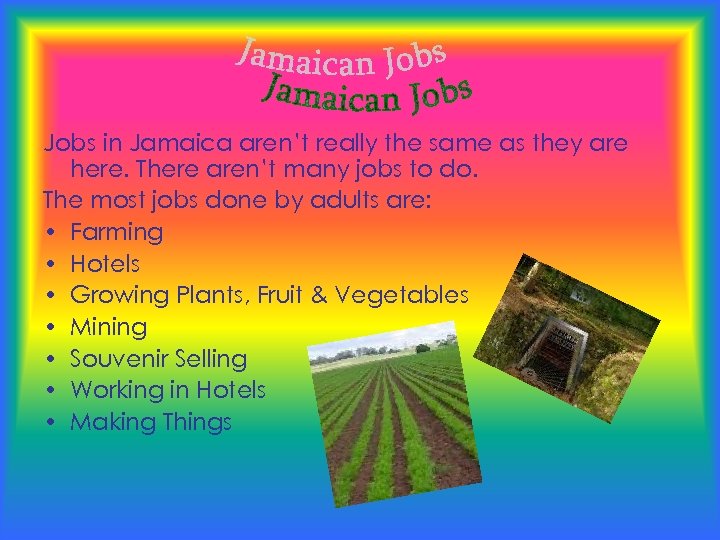 Jobs in Jamaica aren’t really the same as they are here. There aren’t many