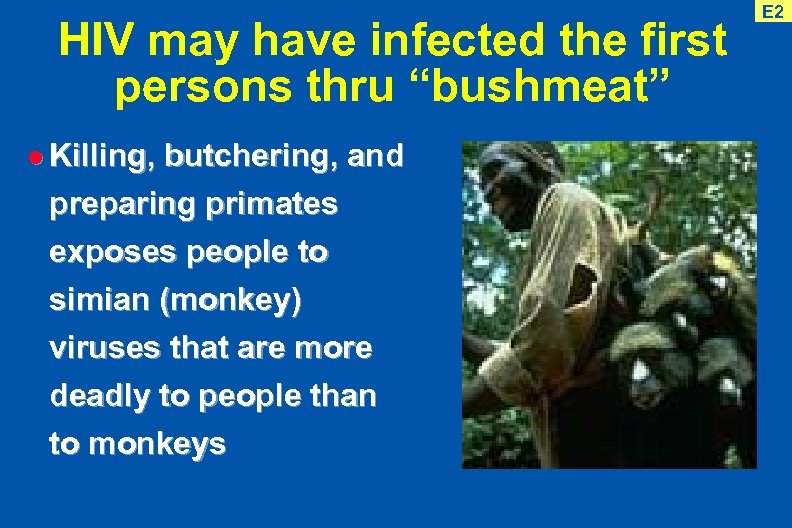 HIV may have infected the first persons thru “bushmeat” l Killing, butchering, and preparing