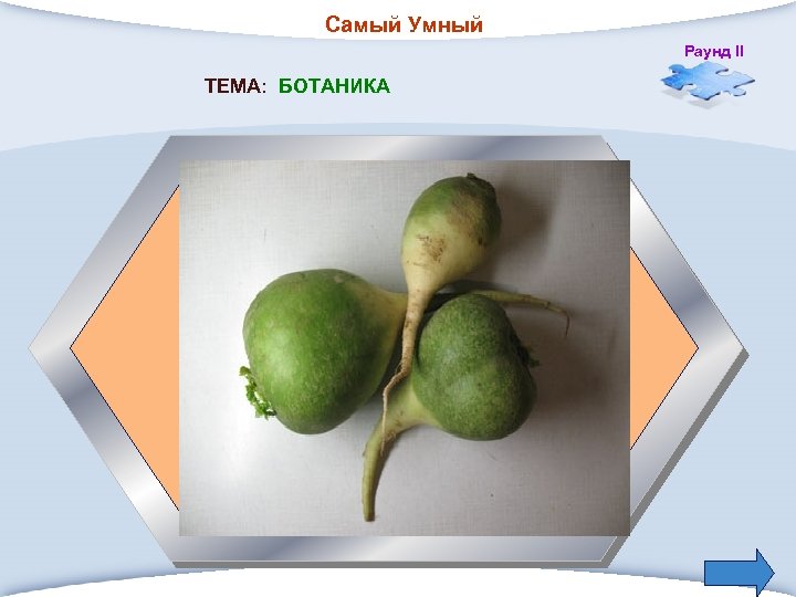 Самый Умный Раунд II ТЕМА: БОТАНИКА 1. «Хуже горькой…» ? 