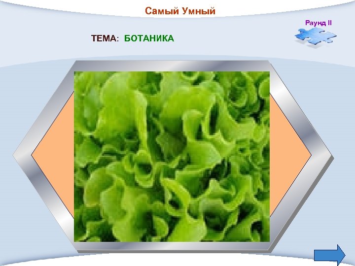 Самый Умный Раунд II ТЕМА: БОТАНИКА 4. Овощное растение, идущее в пищу, и кушанье