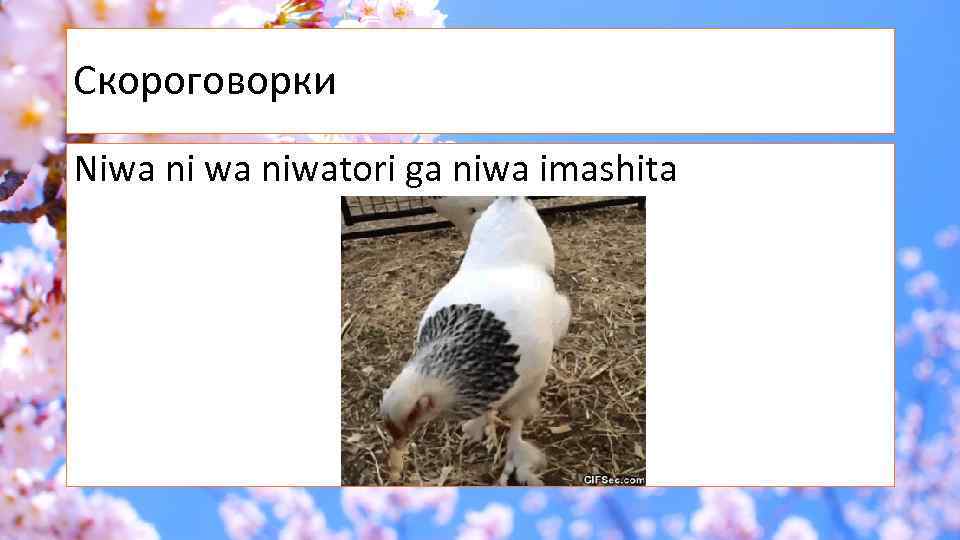 Скороговорки Niwa niwatori ga niwa imashita 