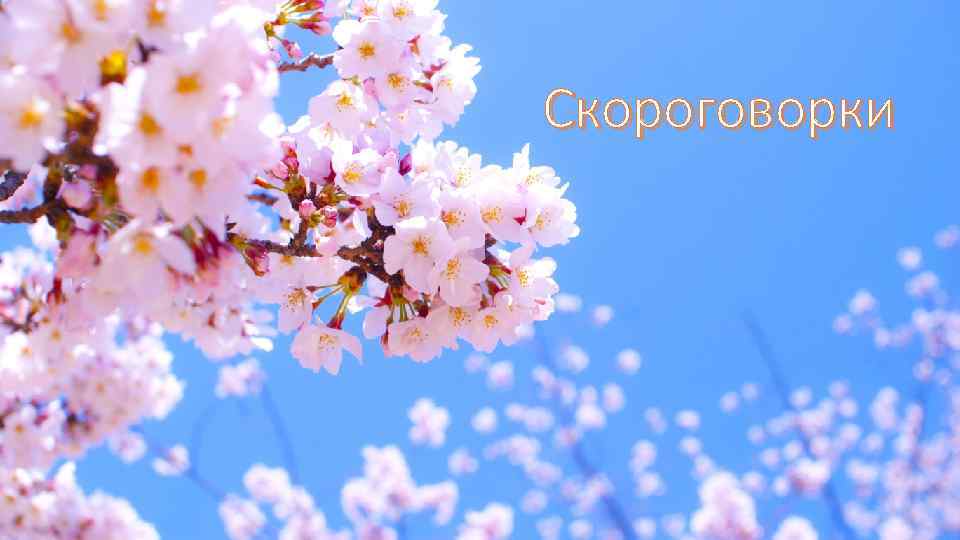 Скороговорки 