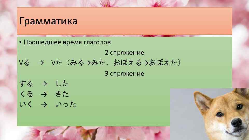 Грамматика • Прошедшее время глаголов 2 спряжение Vる　→　Vた（みる→みた、おぼえる→おぼえた） 3 спряжение する　→　した くる　→　きた いく　→　いった 