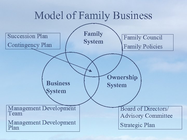 Model of Family Business Succession Plan Contingency Plan Business System Management Development Team Management