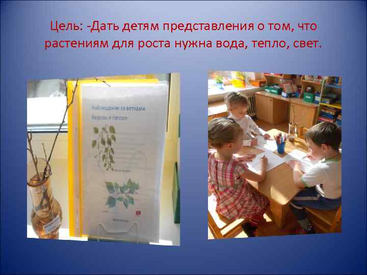 Цель: -Дать детям представления о том, что растениям для роста нужна вода, тепло, свет.