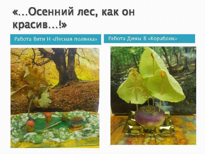  «…Осенний лес, как он красив…!» Работа Вити Н «Лесная полянка» Работа Димы В